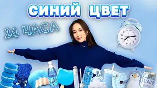 CHALLENGE:24 сағат тек көк түс💙😨