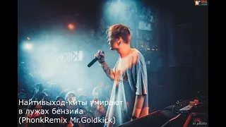 Найтивыход-киты умирают в лужах бензина(Phonk Remix Mr.Goldkick)