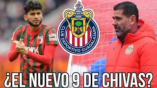 🚨Ricardo Pepi NUEVO 9 de Chivas? | rumores chivas | noticias chivas