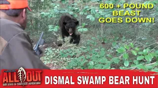 Dismal Swamp Bears/Temple Family Tradition |Carolina ALL OUT | S-4/Ep 6