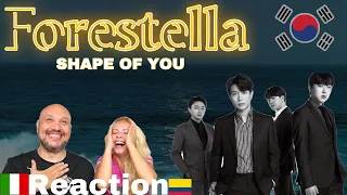 Forestella 포레스텔라 - Shape Of You Reaction and Analysis  🇮🇹Italian And Colombian🇨🇴 "subtitles"
