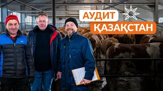 АУДИТ в самом большом холдинге Казахстана | Расширили географию работ