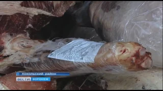 В Воронежской области утилизировали 16 тонн опасной говядины, поступившей из Белоруссии