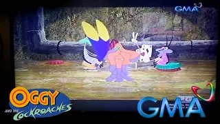 Oggy and the Cockroaches (GMA Network) - Buddy Parrot clip #2