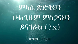 Kalkidan Tilahun ( Lily ) -  Ejig Yemimr  -  እጅግ የሚምር