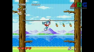 Tiny Toon Adventures: Buster's Hidden Treasure #LongPlay ( Full Map Achievement )