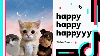 Happy Happy Happy Cat meme | TikTok Trends Compilation