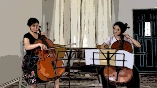 Vivaldi Cello Concerto for 2 cellos in G minor