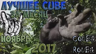 Лучшее видео по версии COUBik за Месяц Ноябрь 2017