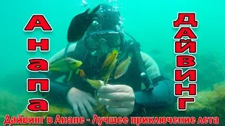 Дайвинг в Анапе. Подводная жизнь в Черном Море 89282062426