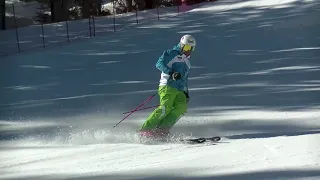 2019 Inter-ski Technical Demos (SLOVENIA)