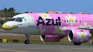 Forte Movimento no Aeroporto de Salvador  - Show de Pousos e Decolagens ✔