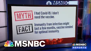 Fact Vs. Fiction On Covid-19 Vaccines | MSNBC
