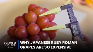 Why Japanese Ruby Roman Grapes Are So Expensive