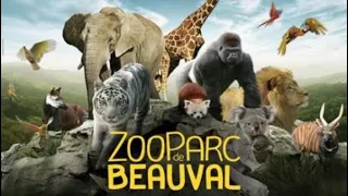 Zoo de Beauval 2023