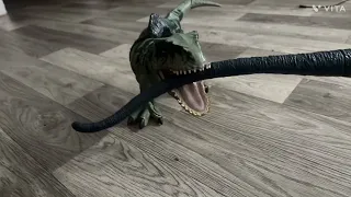 Giganotosaurus vs Dreadnoughtus ￼