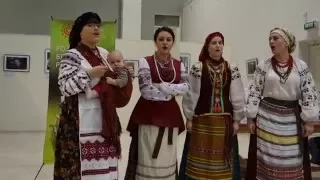 Ансамбль фольклорної пісні «Дивина»