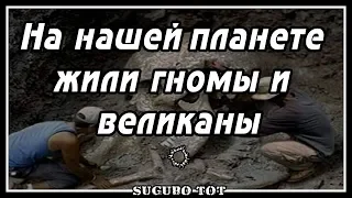 На нашей планете жили гномы и великаны