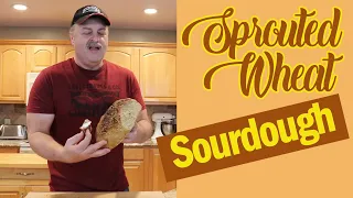 Sprouted Wheat Everything Bagel flavored Sourdough Bread [EASY] - RixCanMakeBread