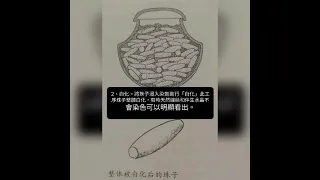 西藏老工藝純手工製作天珠過程