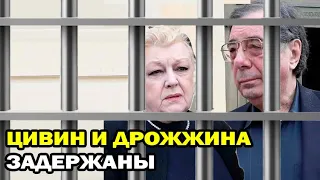 Михаил Цивин и Наталья Дрожжина задержаны