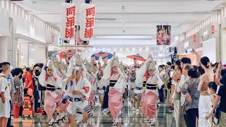 阿波踊り2023 8.14 ゆめタウン徳島  阿呆連はもちろんですが、スペシャルゲストの参加で会場は最高に盛り上がりました