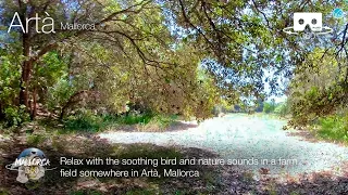 Relax at a farm field in Artà, Mallorca in 360º VR 5K