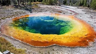 Top 10 CRAZIEST Facts About Yellowstone!