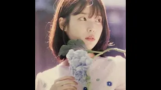 IU - ( 𝐀𝐢 𝐂𝐨𝐯𝐞𝐫 ) YUURI 優里 - ドライフラワ 乾燥花 Dried Flowers