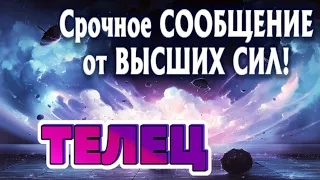 ТЕЛЕЦ 🧚‍♂️🧚‍♂️🧚‍♂️СРОЧНОЕ СООБЩЕНИЕ от ВЫСШИХ СИЛ Таро Прогноз гадание онлайн