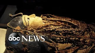 Egypt digitally 'unwraps' mummy of King Amenhotep l ABC News