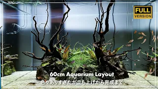 HOW TO BUILD A BEAUTIFUL AQUASCAPE - An underwater oasis -