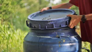 How To Make Free Liquid Fertilizer From Almost Anything with this Ancient Method