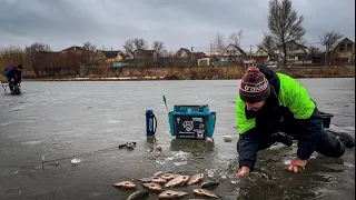 Карась просто здурів, клює один за одним