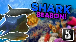 PLAYING AS EVERY SHARK IN FEED AND GROW FISH!!