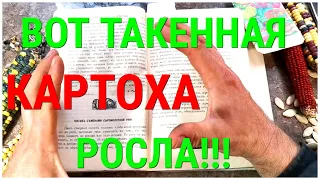 КАРТОФЕЛЬ. Особые способы посадки ухода и размножения картошки крестьянами 19 века. Хитрости Урожая!