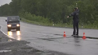 В Елизовском районе ищут пьяных водителей