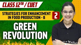 Strategies For Enhancement In Food Production-B 02 | Green Revolution | Class 12th/CUET