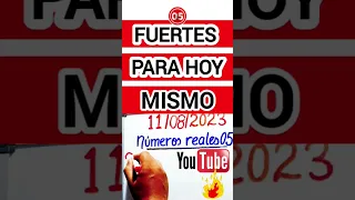 Un SÓLO NÚMERO FUERTES para HOY #númerosreales_05_hoy #análisisdehoy #shortvideos #viral