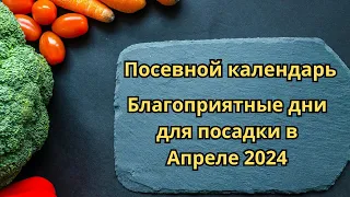 Посевной календарь: благоприятные дни для посадки в Апреле 2024