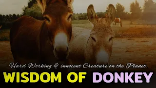 Wisdom Of Donkey ― गधा मानशिकता | नेपाली प्रेरणादायक | Best Motivational Video | #nepali_motivation