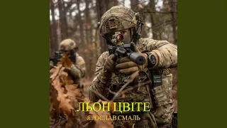 Льон цвіте