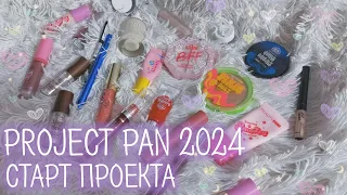 Начало проекта Project Pan 2024 | Использовать и выбросить СТАРТ