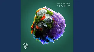 Unity (Extended Mix)