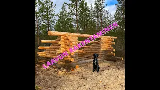 Lapin mökillä // Laavun rakennusta osa1 // building a log cabin in lapland part 1