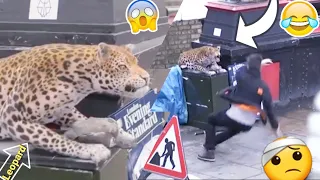 Fake Leopard Prank In London  | Awesome Reaction - #Leopard#Prank - (Comedyforlaugh ).