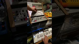 Acid Techno Dawless Livejam