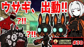 【Lobotomy Corporation】ヤバ過ぎるウサギ、出動!!「こいつら・・・ALEPHもやれるのか」【#30】【ゆっくり実況】