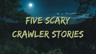 Five Scary Crawler Stories