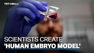 Scientists create model of human embryo without eggs or sperm